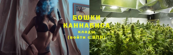 дживик Киреевск