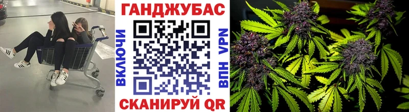 Каннабис семена  Краснозаводск 